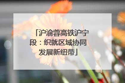 沪渝蓉高铁沪宁段：织就区域协同发展新纽带