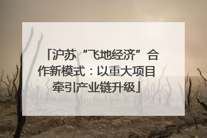 沪苏“飞地经济”合作新模式：以重大项目牵引产业链升级