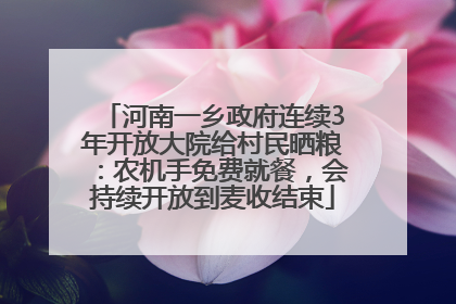 河南一乡政府连续3年开放大院给村民晒粮：农机手免费就餐，会持续开放到麦收结束