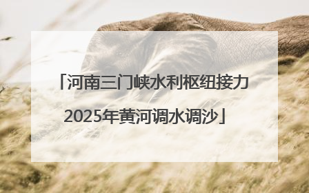 河南三门峡水利枢纽接力2025年黄河调水调沙