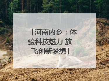 河南内乡：体验科技魅力 放飞创新梦想