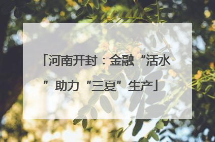 河南开封：金融“活水”助力“三夏”生产