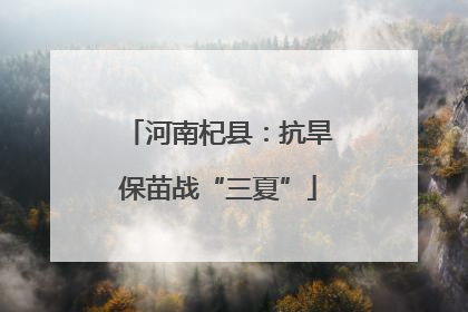 河南杞县：抗旱保苗战“三夏”
