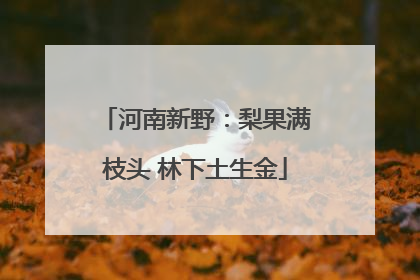河南新野：梨果满枝头 林下土生金