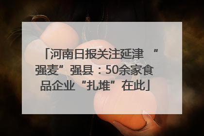 河南日报关注延津 “强麦”强县：50余家食品企业“扎堆”在此