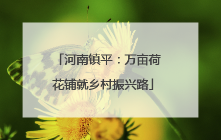 河南镇平：万亩荷花铺就乡村振兴路
