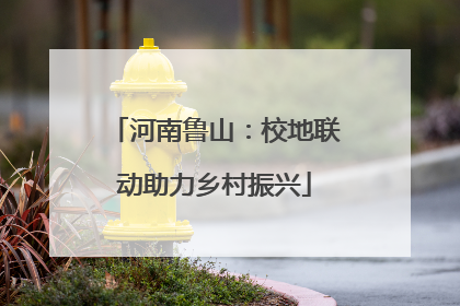 河南鲁山：校地联动助力乡村振兴