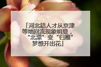 河北籍人才从京津等地回流现象明显，“北漂”变“归雁” 梦想开出花