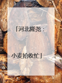 河北隆尧：小麦抢收忙