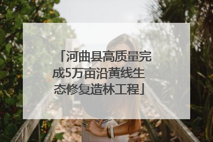 河曲县高质量完成5万亩沿黄线生态修复造林工程