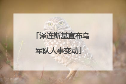 泽连斯基宣布乌军队人事变动