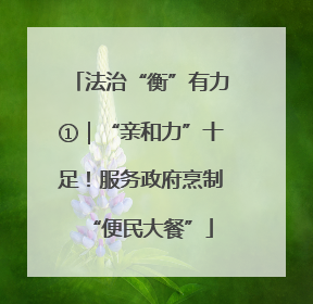 法治“衡”有力①｜“亲和力”十足！服务政府烹制“便民大餐”