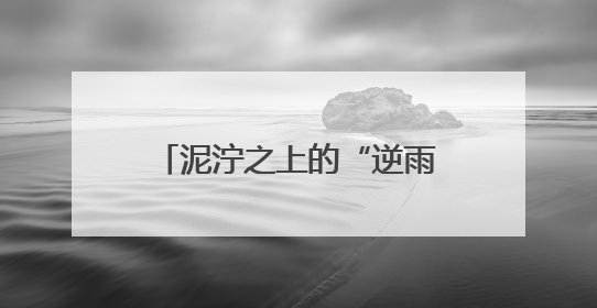 泥泞之上的“逆雨”叙事：一场音乐节折射出的城市温度