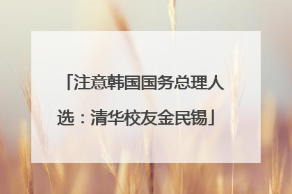 注意韩国国务总理人选：清华校友金民锡