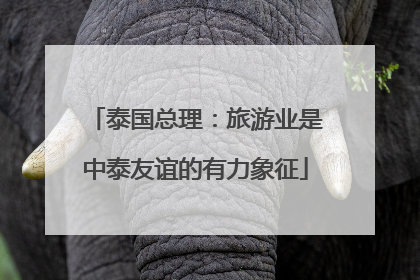 泰国总理：旅游业是中泰友谊的有力象征