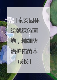 泰安园林绘就绿色画卷，精细防治护佑苗木成长