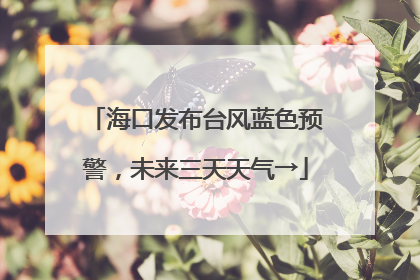 海口发布台风蓝色预警，未来三天天气→