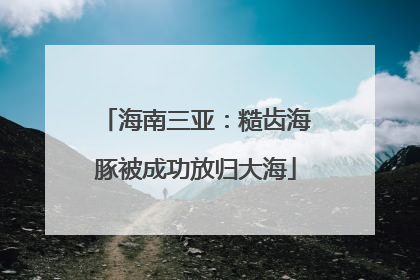 海南三亚：糙齿海豚被成功放归大海