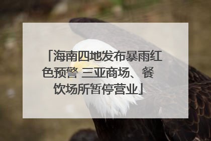海南四地发布暴雨红色预警 三亚商场、餐饮场所暂停营业