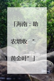 海南：助农增收 “黄金叶”