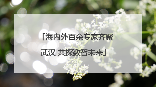 海内外百余专家齐聚武汉 共探数智未来