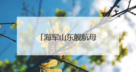 海军山东舰航母编队抵达香港