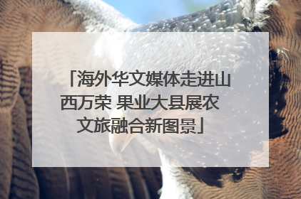 海外华文媒体走进山西万荣 果业大县展农文旅融合新图景