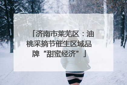 济南市莱芜区：油桃采摘节催生区域品牌“甜蜜经济”