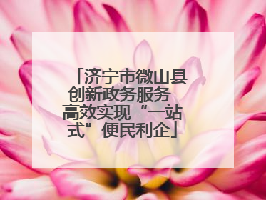 济宁市微山县创新政务服务 高效实现“一站式”便民利企