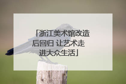 浙江美术馆改造后回归 让艺术走进大众生活