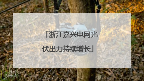 浙江嘉兴电网光伏出力持续增长