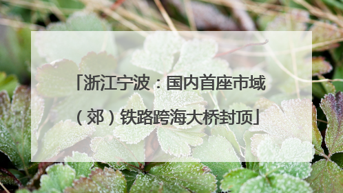 浙江宁波：国内首座市域（郊）铁路跨海大桥封顶