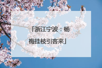 浙江宁波：杨梅挂枝引客来