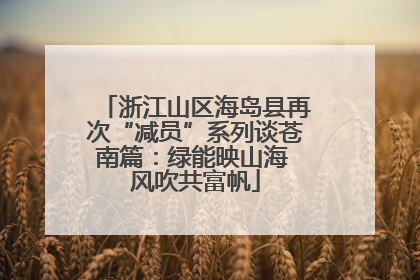 浙江山区海岛县再次“减员”系列谈苍南篇：绿能映山海 风吹共富帆