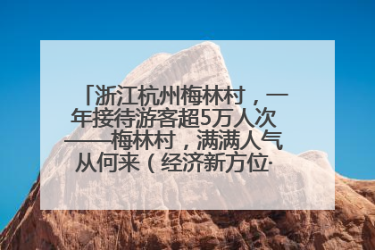 浙江杭州梅林村，一年接待游客超5万人次——梅林村，满满人气从何来（经济新方位·农村消费观察）