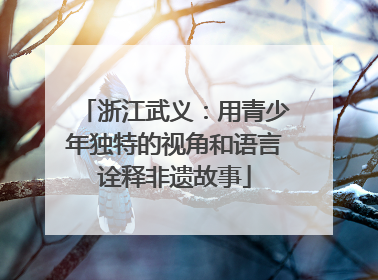 浙江武义：用青少年独特的视角和语言诠释非遗故事