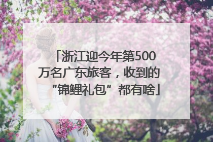浙江迎今年第500万名广东旅客，收到的“锦鲤礼包”都有啥