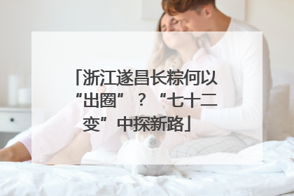 浙江遂昌长粽何以“出圈”？“七十二变”中探新路