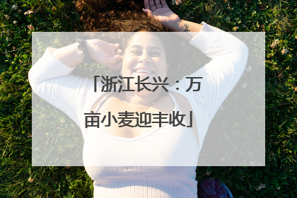 浙江长兴：万亩小麦迎丰收
