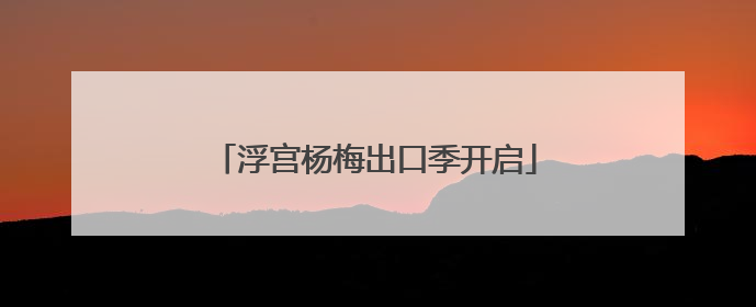 浮宫杨梅出口季开启