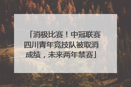 消极比赛！中冠联赛四川青年竞技队被取消成绩，未来两年禁赛