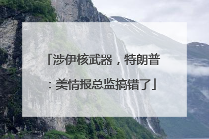 涉伊核武器，特朗普：美情报总监搞错了