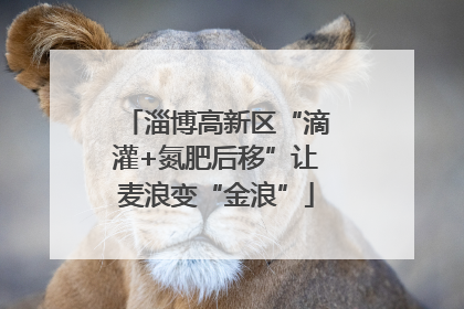 淄博高新区“滴灌+氮肥后移”让麦浪变“金浪”