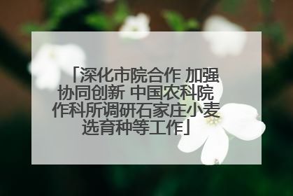深化市院合作 加强协同创新 中国农科院作科所调研石家庄小麦选育种等工作