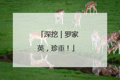 深挖｜罗家英，珍重！