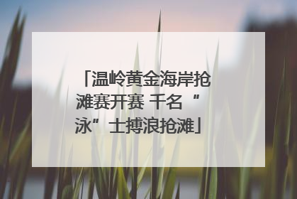 温岭黄金海岸抢滩赛开赛 千名“泳”士搏浪抢滩