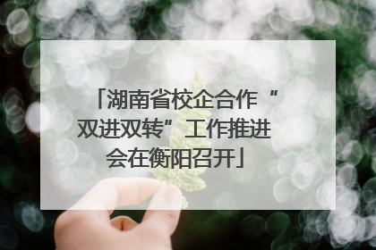 湖南省校企合作“双进双转”工作推进会在衡阳召开