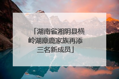 湖南省湘阴县横岭湖麋鹿家族再添三名新成员
