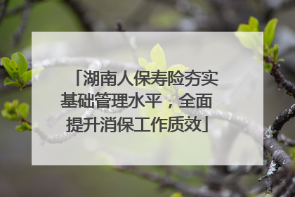 湖南人保寿险夯实基础管理水平，全面提升消保工作质效
