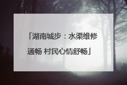 湖南城步：水渠维修通畅 村民心情舒畅